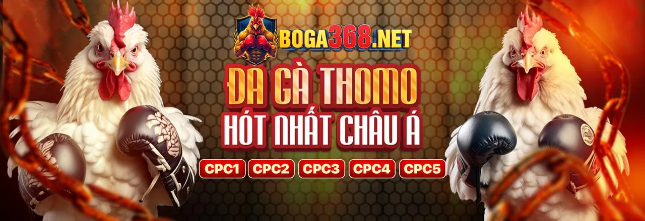 TDTC Thể Thao chính thức, sân vận động sôi động